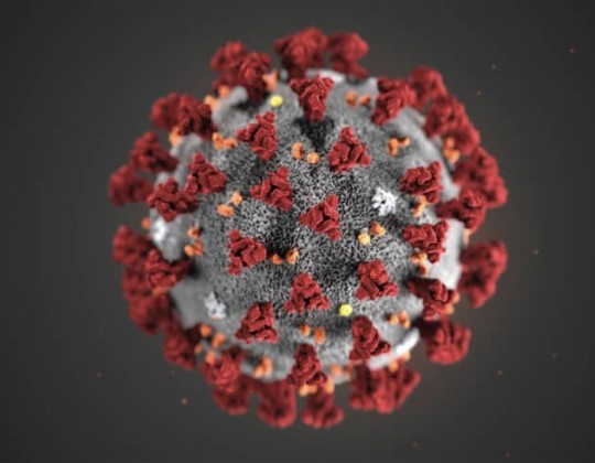 Virus Corona mất bao lâu để lây nhiễm từ người sang người