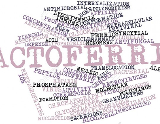 Những điều cần biết về cơ chế hoạt động của Lactoferrin