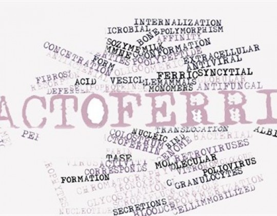 Lactoferrin là chất gì? Cho bé dùng sữa lactoferrin có tốt không?