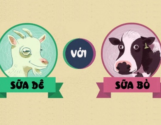 Trong trường hợp nào mẹ nên chọn sữa dê cho bé dưới 1 tuổi thay vì sữa bò?