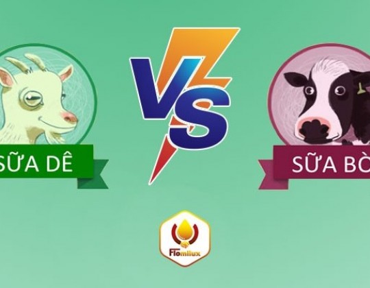 Sữa dê so với sữa bò: Loại nào tốt cho sức khỏe của trẻ hơn?