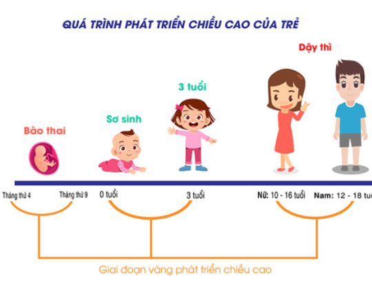 Tầm quan trọng của việc bổ sung sữa tăng chiều cao cho bé 12 tuổi