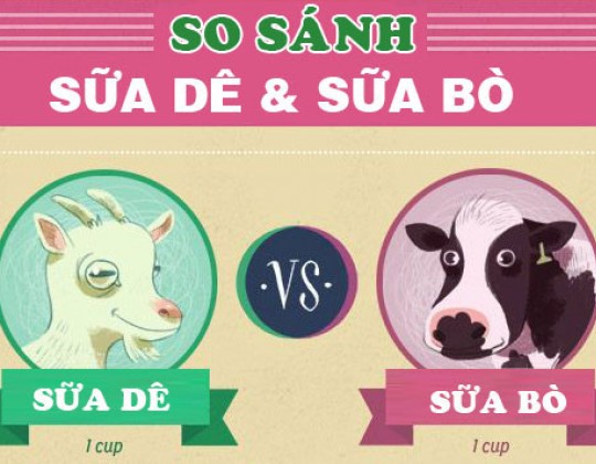 Sữa dê và sữa bò loại nào tốt hơn cho bé, bài viết này sẽ giải đáp cho bạn