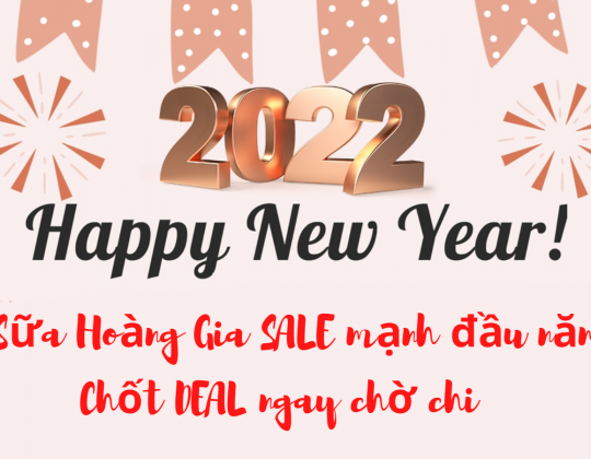 Tết Dương lịch mua sữa – Quà “chắc nịch” trong tay