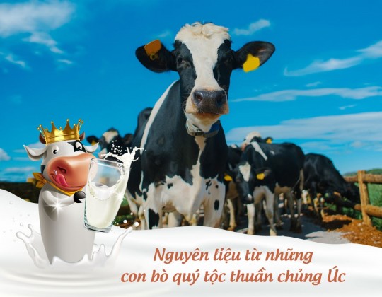 Sữa Hoàng Gia Úc Royal Ausnz và bí mật tạo nên những lon “sữa sạch”, thanh thuần