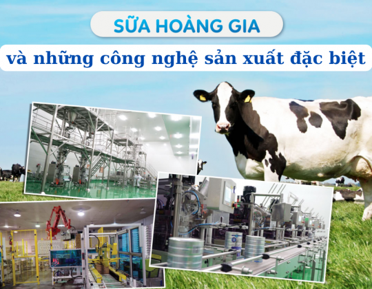 [Bật mí] Công nghệ ưu việt giúp sữa Hoàng gia Úc Royal Ausnz xứng tầm sữa sạch, sữa mát